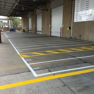 Designated car parking lines