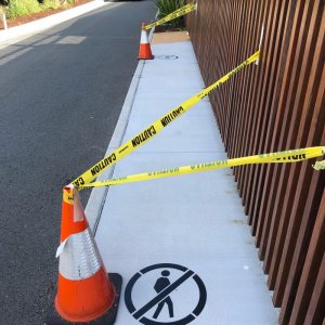 No pedestrian marks