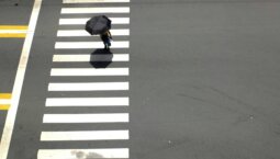 Line Markings in Sustainable Urban Mobility